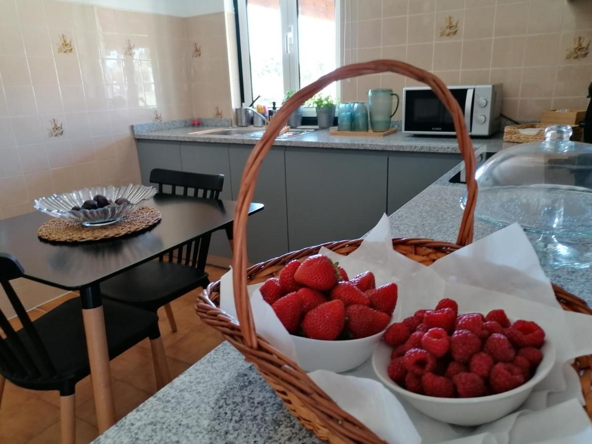 Casa D'Avo Bina Alojamento Local Viana do Castelo Dış mekan fotoğraf